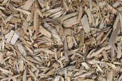 biomass boilers Llanddeiniol